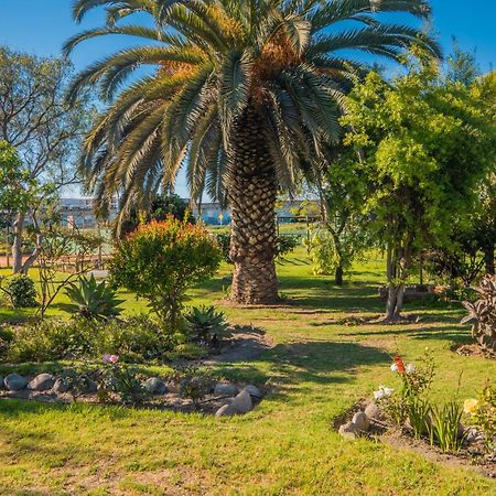 Cabanas Villa Los Platanos La Serena Extérieur photo