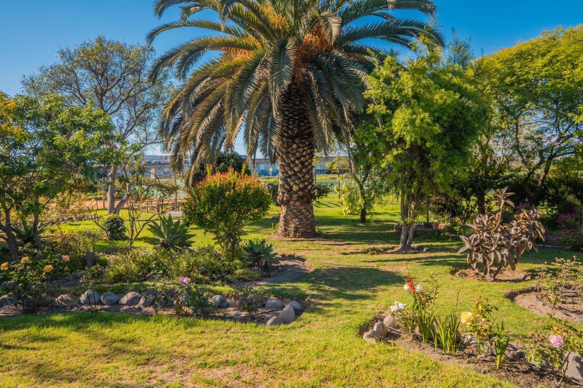 Cabanas Villa Los Platanos La Serena Extérieur photo